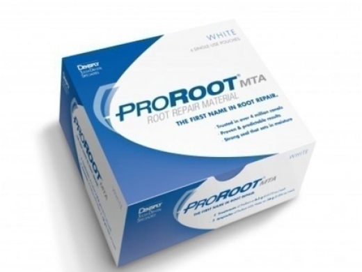 proroot mta white a0405-2 4x0.5 (productfoto)