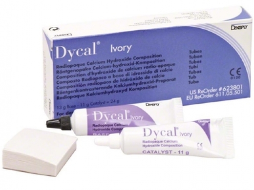 dycal tubes, standard pack ivory 24 (productfoto)