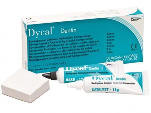 dycal tubes, standard pack dentine 24 (productfoto)