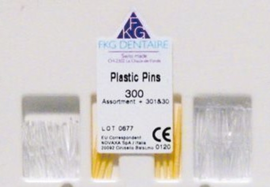 fkg plastic pins transparant nr.1 100 (productfoto)