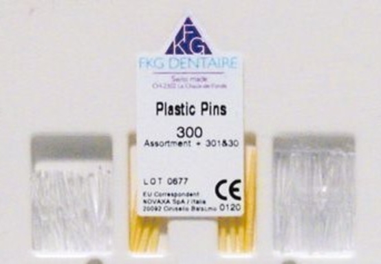 fkg plastic pins transparant nr.2 50 (productfoto)