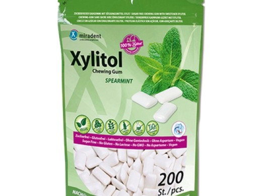 xylitol kauwgom economy zak spearmint 200 stuks (productfoto)