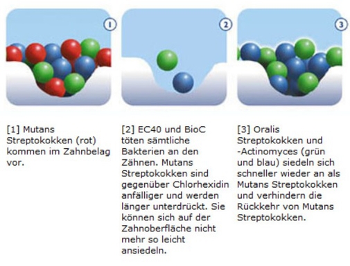 bioc chx-lak / spuitjes 4x1.2 (productfoto)