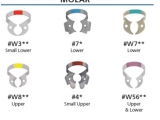 fiesta color coded matte finish clamp 7 (flat jawed, lower molar) (thumbnail)