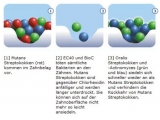 bioc chx-lak / spuitjes 4x1.2 (thumbnail)