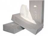 facial tissues 21x21cm clean & clever 40x100 (thumbnail)